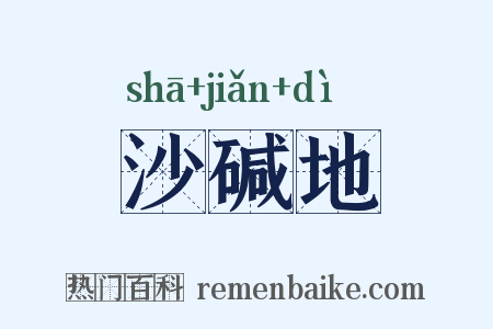 沙碱地是什么意思的图片